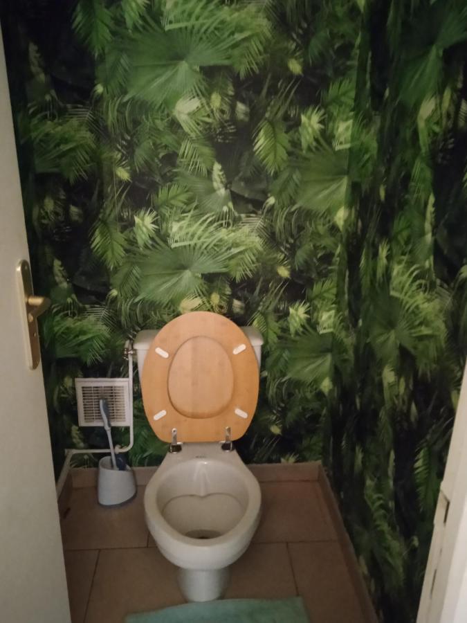 Agreable Maison Entre Zoo Et Chateaux Le Controis-en-Sologne エクステリア 写真